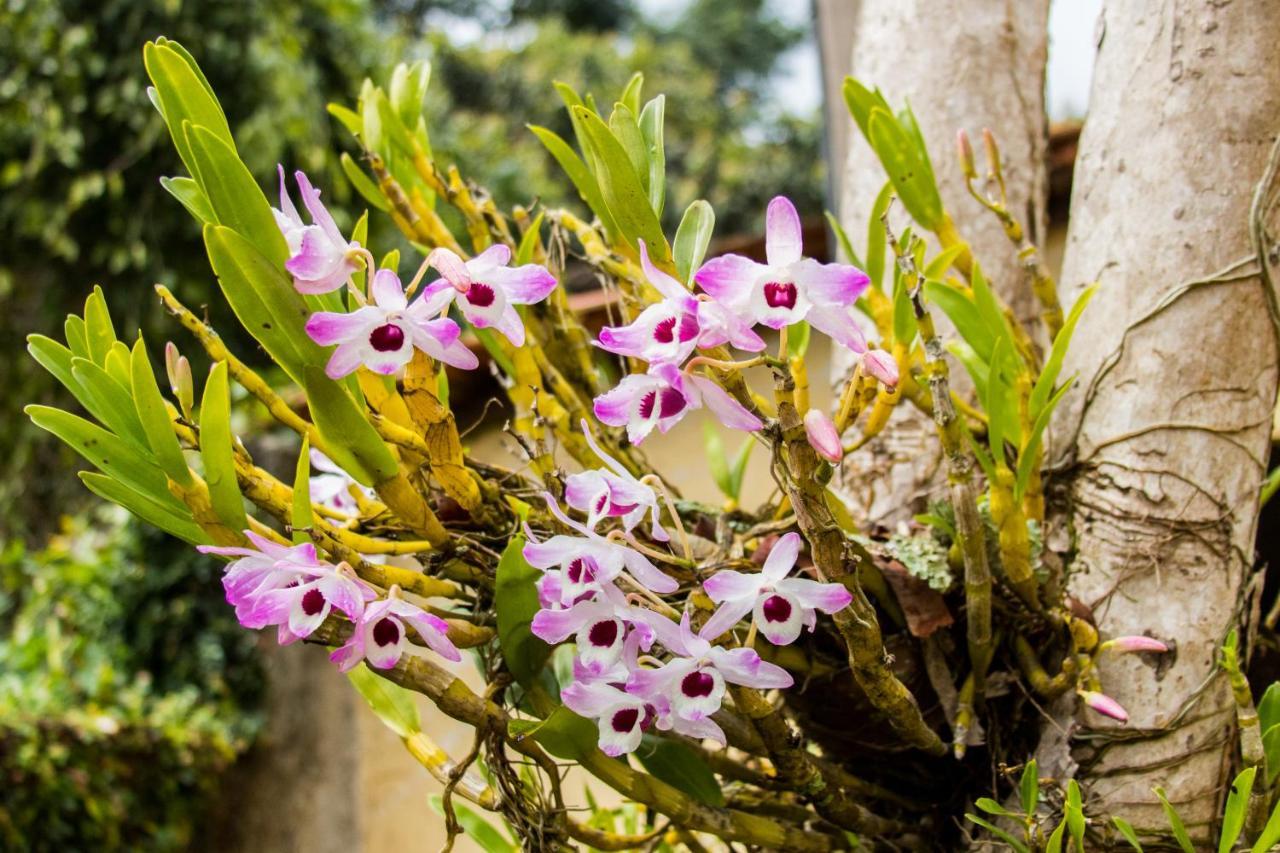 Villa Bem Querer - Camomila Mairiporã Buitenkant foto